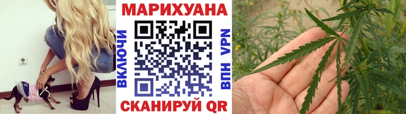 Конопля сатива  Кушва 